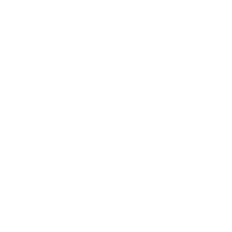 Lap Pool